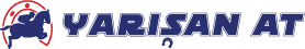 Yarışan At